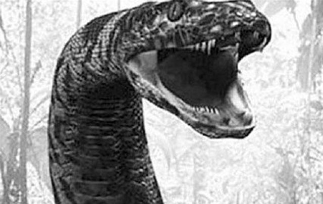 Huyền thoại về loài rắn khổng lồ trên hòn đảo có 99 ngọn núi