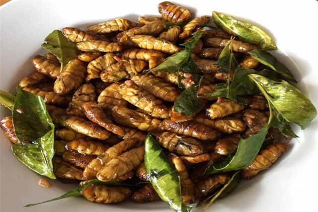 Nhộng tằm béo béo bùi bùi, rang cùng lá chanh thì ngon hết ý