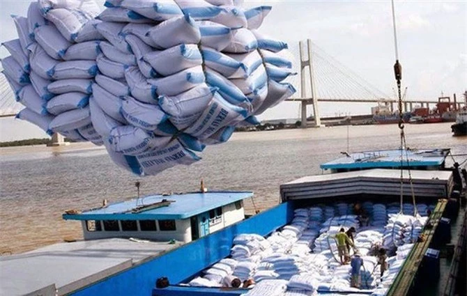 Xuất khẩu gạo tăng cả về giá trị lẫn khối lượng. Xuất khẩu gạo tăng cả về giá trị lẫn khối lượng.