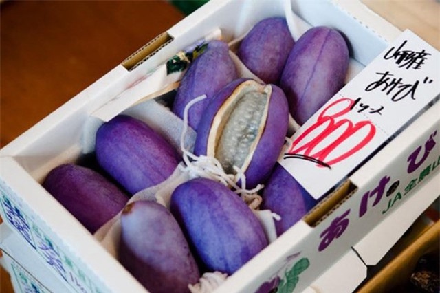 Nho Nhật 300.000 đồng/quả bán tại Việt Nam có gì đặc biệt