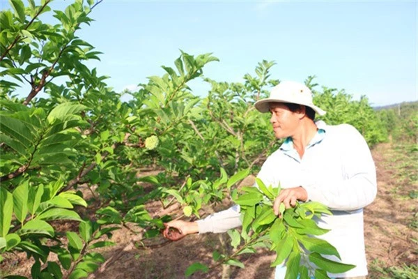 lam giau o nong thon: 