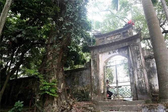 De nghi ban dau gia cong khai cay sua 100 ty dong o Ha Noi hinh anh 1