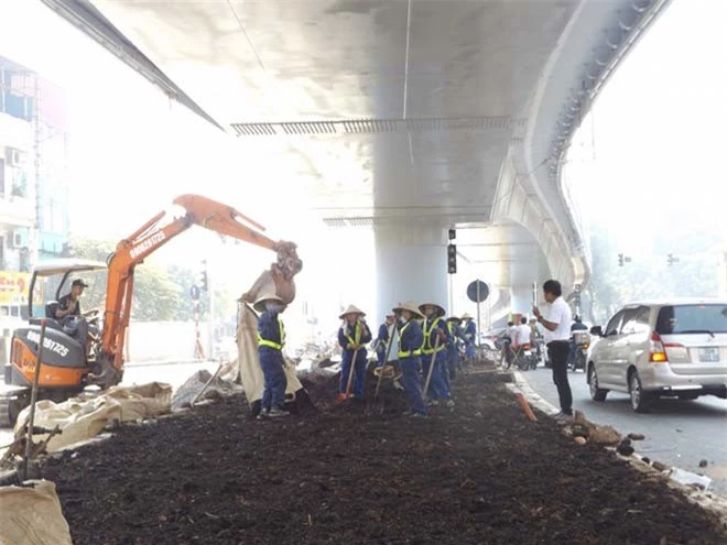 Dưới gầm cầu các công nhân đang được huy động trồng cây trang trí để kịp ngày thông xe.