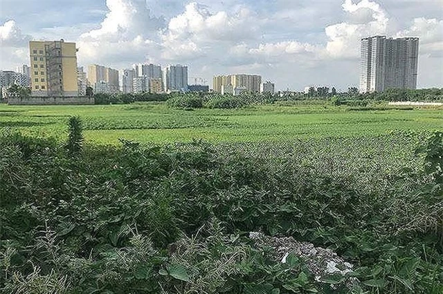 Khu đất dự án tại quận Hoàng Mai bị đề nghị thu hồi vì chậm triển khai gần 8 năm nay.