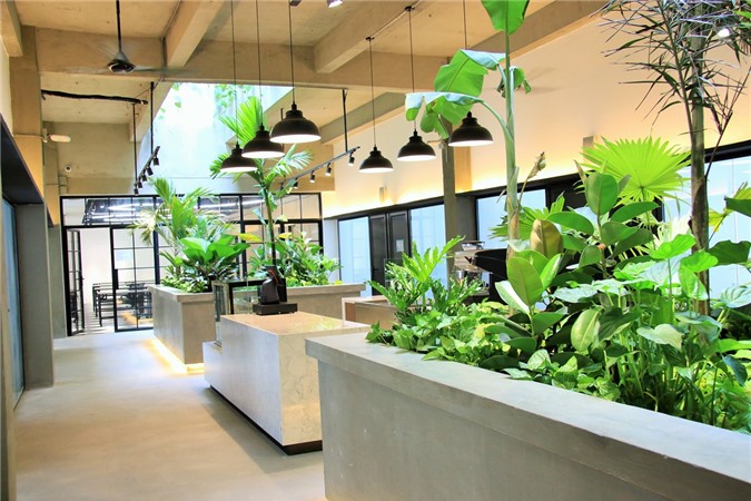 Văn phòng truyền thống và sự dịch chuyển sang không gian làm việc chung coworking