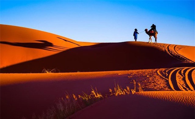 Những sự thật ít người biết về sa mạc Sahara - nóng bỏng, điên rồ nhưng kỳ diệu bậc nhất hành tinh