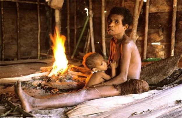 Mặc dù dựng nhà bằng gỗ trên thân cây, người Korowai vẫn sử dụng lửa để nấu nướng và sưởi ấm.
