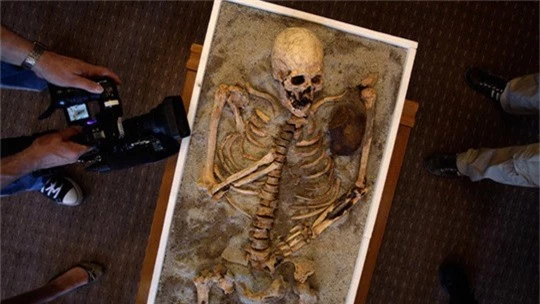 Một bộ xương ma cà rồng trưng bày tại Viện Bảo tàng Lịch sử Quốc gia (NHM) ở thủ đô Sofia - Bulgaria. Ảnh: Reuters