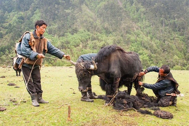 Bộ lạc xa rời thế giới văn minh ở “đất nước hạnh phúc nhất thế giới”