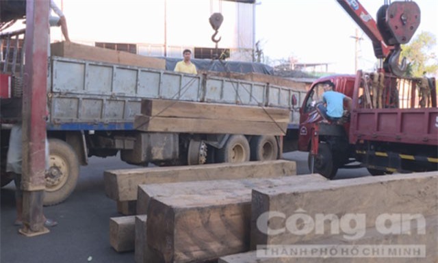 Truy quét lâm tặc, bắt xe tải chở trên 30m3 gỗ lậu