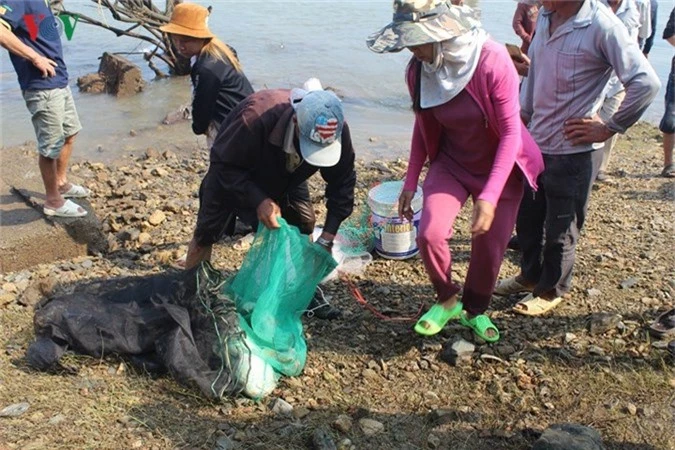 thuy dien tri an dong cua xa, dan do xo di bat ca "khung" hinh 4