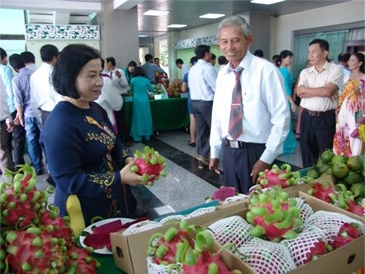 trung quoc ngung "an" hang, thanh long sach van ban duoc 25.000d/kg hinh anh 1