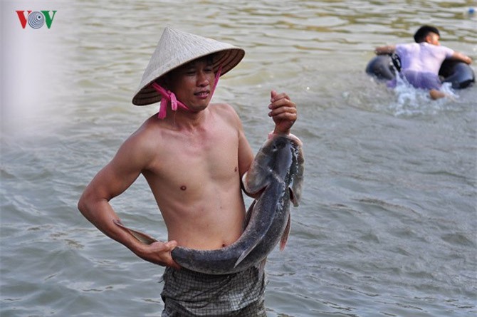 Thủy điện Trị An đóng cửa xả, dân đổ xô đi bắt cá “khủng“