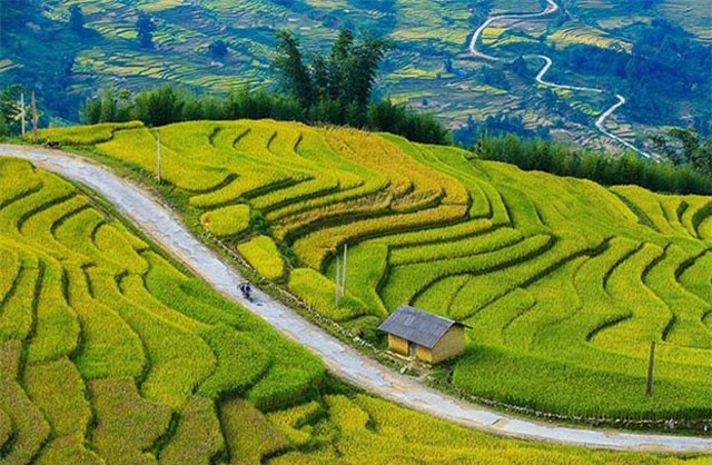 Y Tý mùa vàng - thắng cảnh ngoạn mục đất trời Tây Bắc mỗi độ Thu sang