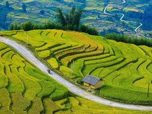 Y Tý mùa vàng - thắng cảnh ngoạn mục đất trời Tây Bắc mỗi độ Thu sang