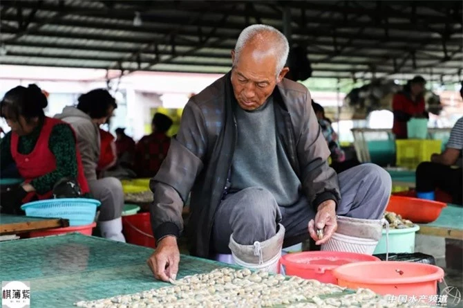 Mọi người từ già trẻ lớn bé đều tích cực tham gia công việc này để kiếm thêm thu nhập Mọi người từ già trẻ lớn bé đều tích cực tham gia công việc này để kiếm thêm thu nhập