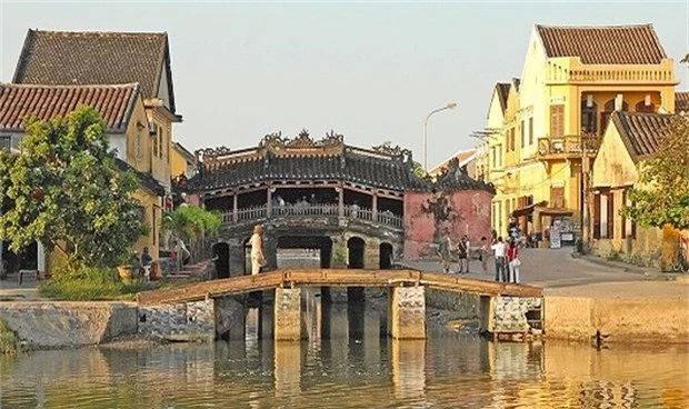 bi an ve cay cau tran yem thuy quai o hoi an hinh anh 1