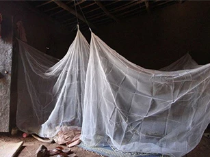 Phát minh loại màn khắc tinh của muỗi