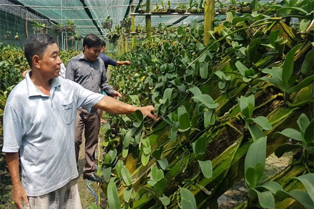 Lão nông Tây Ninh "đút túi" 3 tỷ đồng/năm nhờ lan Ngọc Điểm