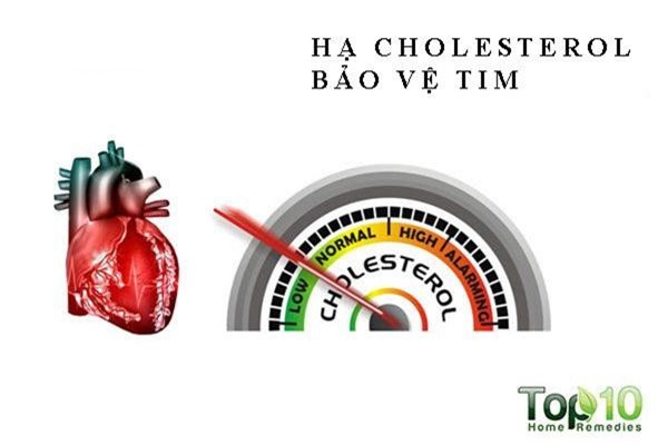 10 lợi ích sức khoẻ của rượu vang đỏ