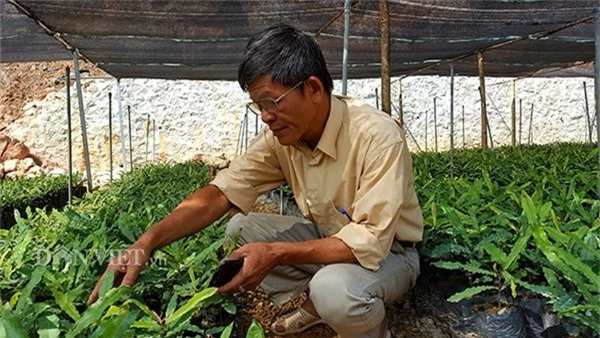 lam giau khac nguoi: chuyen ve “ong trum