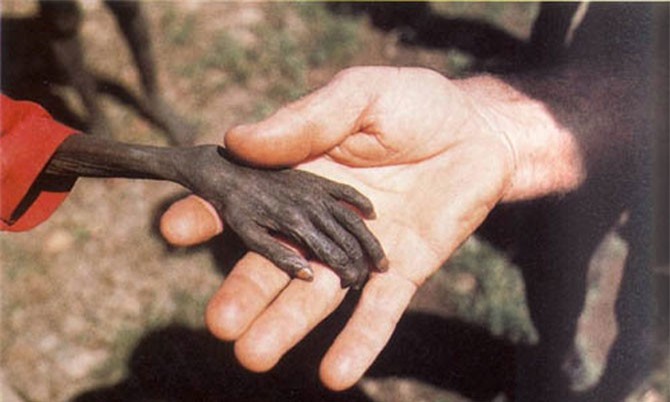 Top ảnh lịch sử kinh điển bóp nghẹt trái tim bạn