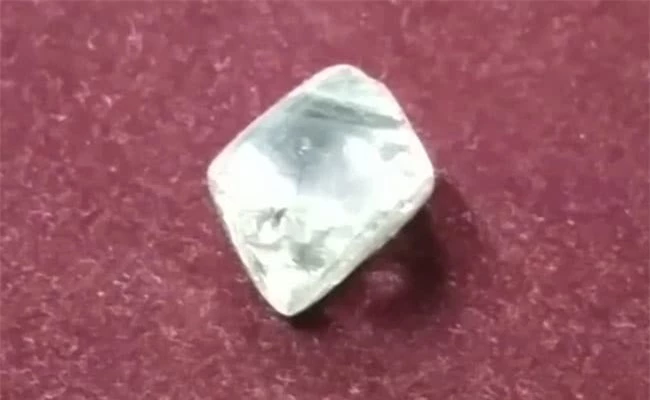 Đây là viên kim cương lớn thứ hai từng được tìm thấy ở mỏ Panna, Ấn Độ. 
