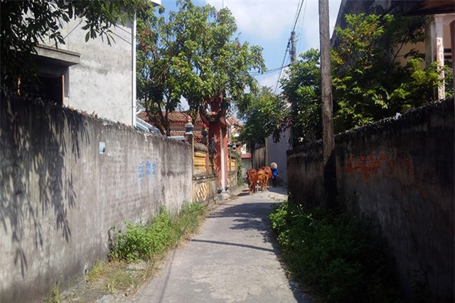 Bí ẩn xóm nhỏ ở Hải Phòng, trong 3 năm có 40 người bỏ mạng liên tiếp vì đột tử, tai nạn