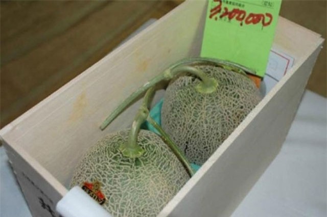 220 triệu đồng/chùm nho: Vì sao người Nhật làm được?