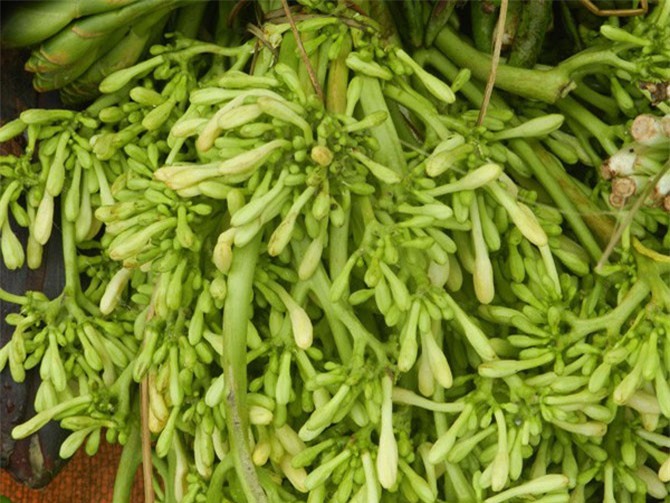 Những món rau rừng “đỉnh nhất’, ăn là nghiện của vùng Tây Bắc