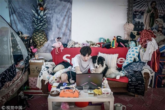 Chi hơn 11 tỷ xây biệt thự cho riêng chó cưng để trả ơn