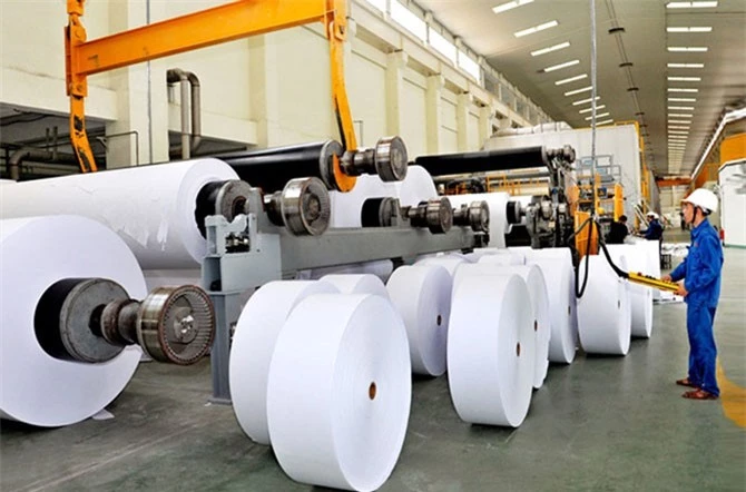 70% sản lượng giấy của Việt Nam sản xuất từ nguyên liệu là giấy phế liệu.