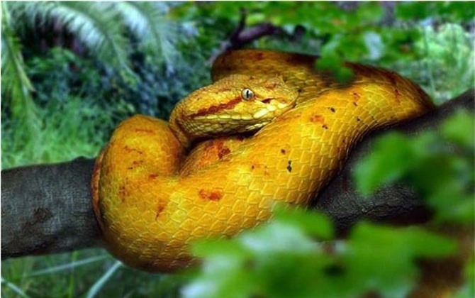 Lạnh sống lưng tại 8 hòn đảo đáng sợ nhất thế giới