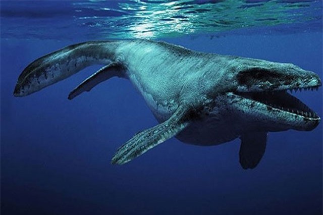 Thủy quái 85 triệu năm tuổi được tìm thấy ở Mỹ