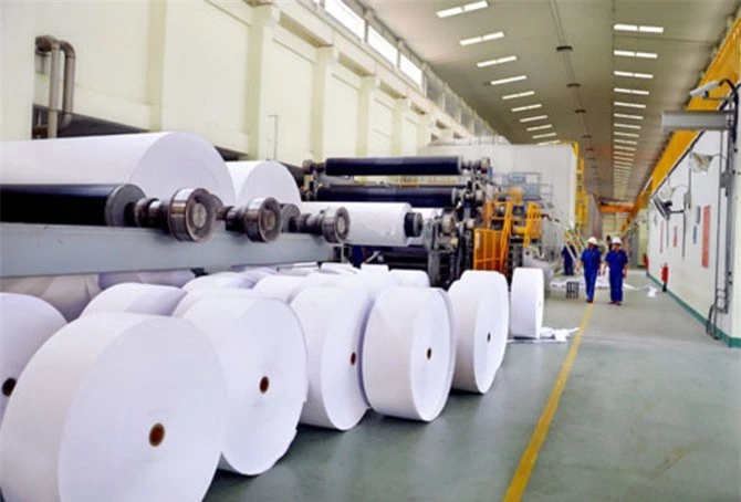 Việt Nam vẫn phải nhập khẩu 2 tấn giấy/năm.