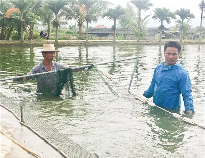 HTX Thủy Sản Thanh Chăn, tỉnh Điện Biên hiện có hơn 21 hội viên liên kết sản xuất cá giống cho thu nhập từ 200-400 triệu đồng/hộ/năm