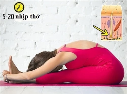 8 tư thế yoga vừa sáng da đẹp dáng lại cải thiện mái tóc gãy rụng