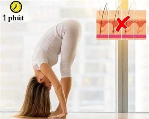 8 tư thế yoga vừa sáng da đẹp dáng lại cải thiện mái tóc gãy rụng