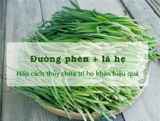 la-he-va-duong-phen