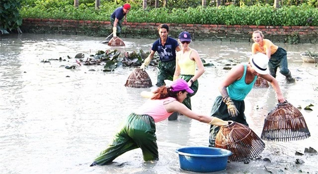 Du khách nước ngoài trải nghiệm làm nông dân ở Khu du lịch làng quê Yên Đức (Đông Triều, Quảng Ninh). Ảnh: LÊ CƯỜNG