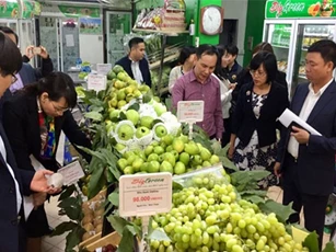 BẢN TIN TÀI CHÍNH-KINH DOANH: Xuất khẩu đạt kỷ lục, cơ hội phát triển ngành rau quả Việt