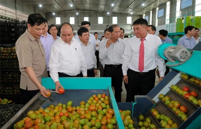 Thủ tướng Nguyễn Xuân Phúc trong một lần thăm mô hình sản xuất rau an toàn của một doanh nghiệp tại Lâm Đồng (Ảnh VGP).