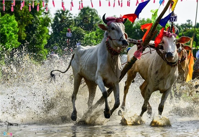 Nhung pha dua bo quyet liet tren vung lay o mien Tay hinh anh 12