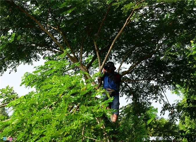 Nhung pha dua bo quyet liet tren vung lay o mien Tay hinh anh 5