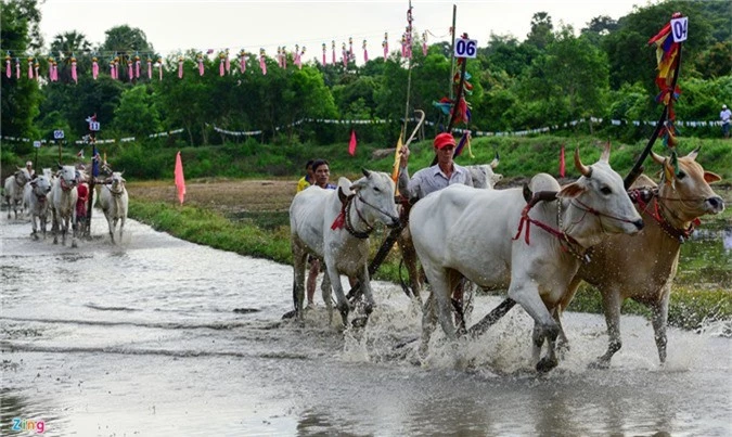 Nhung pha dua bo quyet liet tren vung lay o mien Tay hinh anh 6