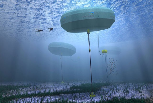 Clip: “Tận mục” mô hình sản xuất điện từ sóng biển đầu tiên trên thế giới