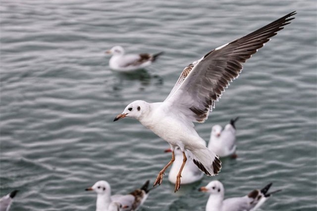 Vẻ mê đắm của hồ nước mặn lớn thứ 2 thế giới giữa làn tuyết phủ trắng