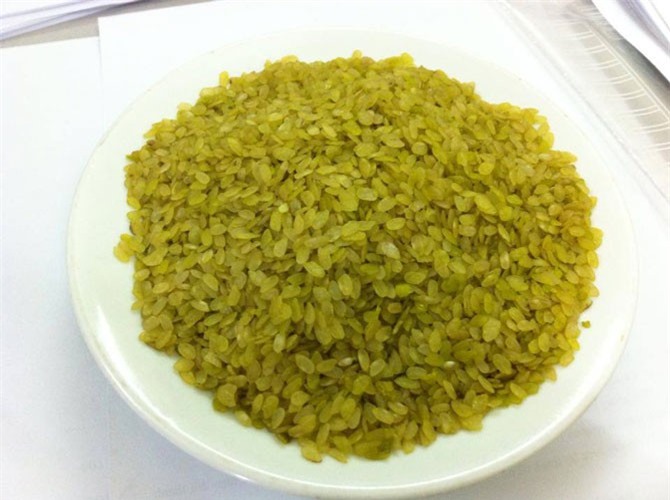 Hương quê trong phố