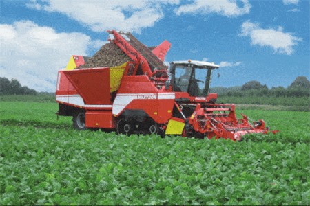 Clip: Cận cảnh máy thu hoạch cải củ siêu hiện đại