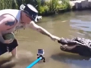 Clip: 'Giật mình' với người đàn ông 'liều lĩnh' cho cá sấu ăn dưa hấu bằng tay không